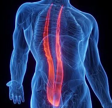 split-cord-malformation-scm-a-rare-but-treatable-spinal-condition---insight-by-dr-vijaymahantesh-pujari-neurosurgeon-in-hubli-india-thumbnail